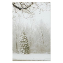 Árboles del invierno