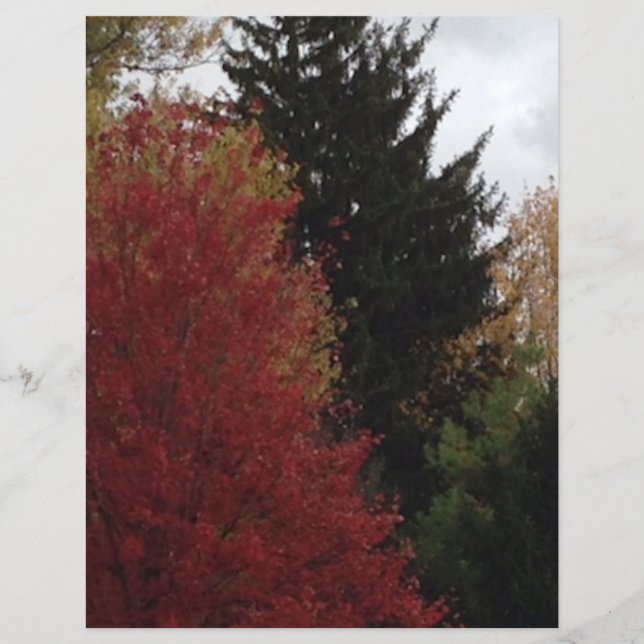 Lámina Árboles otoñales en papel de libro verde amarillo  (Anverso)