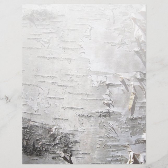 Lámina arbusto de moda rústico bohemio ladrido blanco (Anverso)