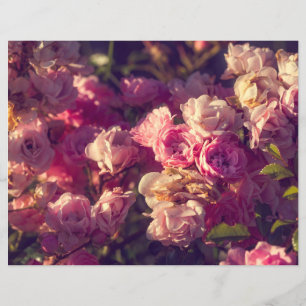 Lámina Arbusto de rosas rojas