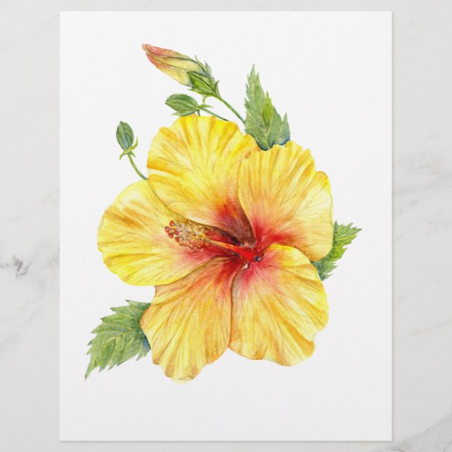 Lámina Arte botánico amarillo hibiscus (Anverso)
