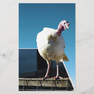 Lámina Arte emergente de pavo,