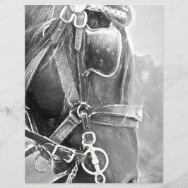 Lámina Arte Rústico Occidental Negro Y Blanco Vintage