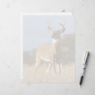Lámina Autumn Whitetail Buck