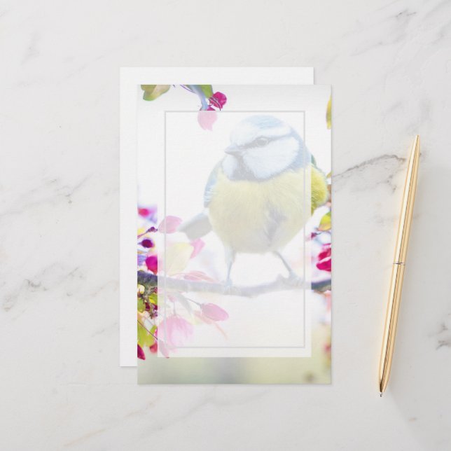 Lámina Ave azul y amarillo bonito en una foto de una sucu (Anverso/Reverso In Situ)