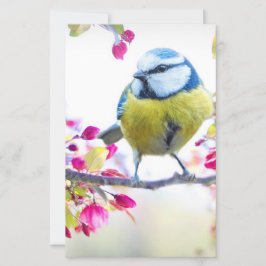 Lámina Ave azul y amarillo bonito en una foto de una sucu