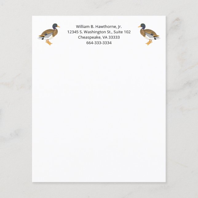 Lámina Ave de pato mallard Naturaleza animales de aves ac (Anverso)