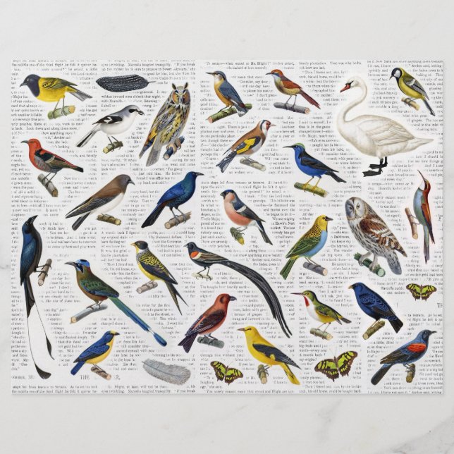 Lámina Aves de época genuinas (sin IA) en el fondo de New (Anverso)