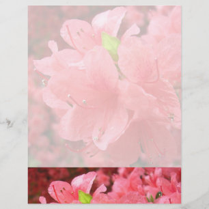 Lámina Azalea Field - Letterhead