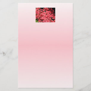 Lámina Azaleas. Flores rosadas bonitos.