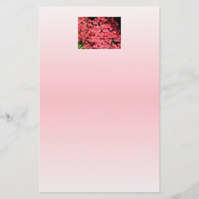 Lámina Azaleas. Flores rosadas bonitos. (Anverso)