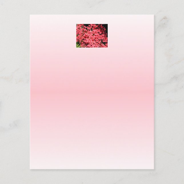 Lámina Azaleas. Flores rosadas bonitos. (Anverso)
