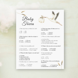 Lámina Baby Trivia - Juego de Stork Baby Shower