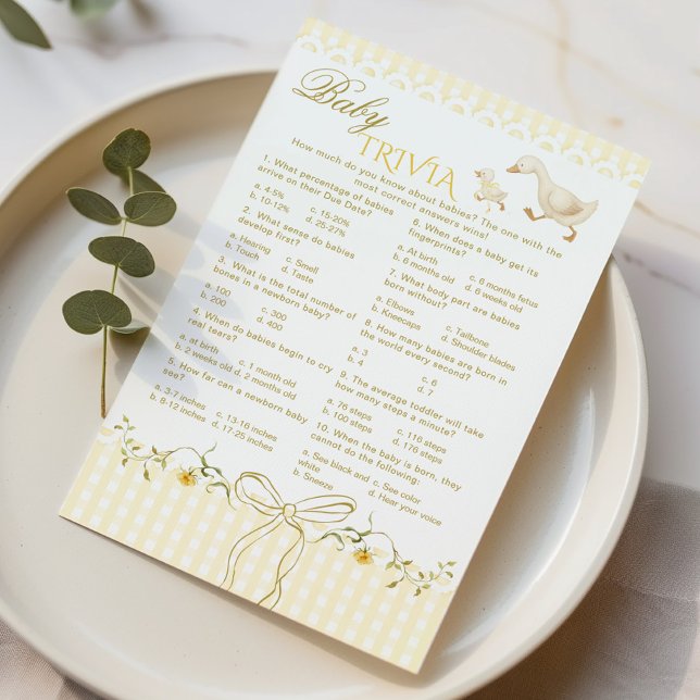 Lámina Baby Trivia Silly Goose Gingham Baby shower game (Subido por el creador)