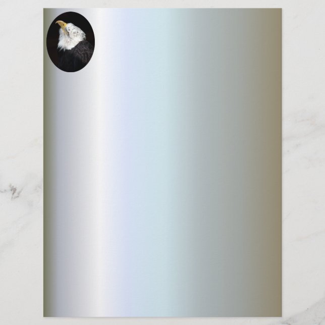 Lámina Bald Eagle Portriat (Anverso)