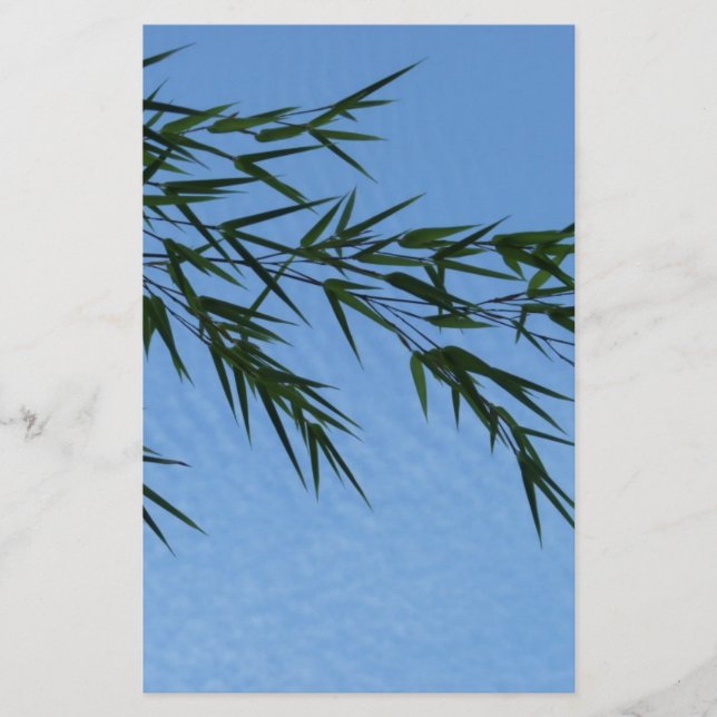 Lámina bambú sobre cielo de nubes (Anverso)
