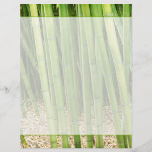 Lámina Bambú verde