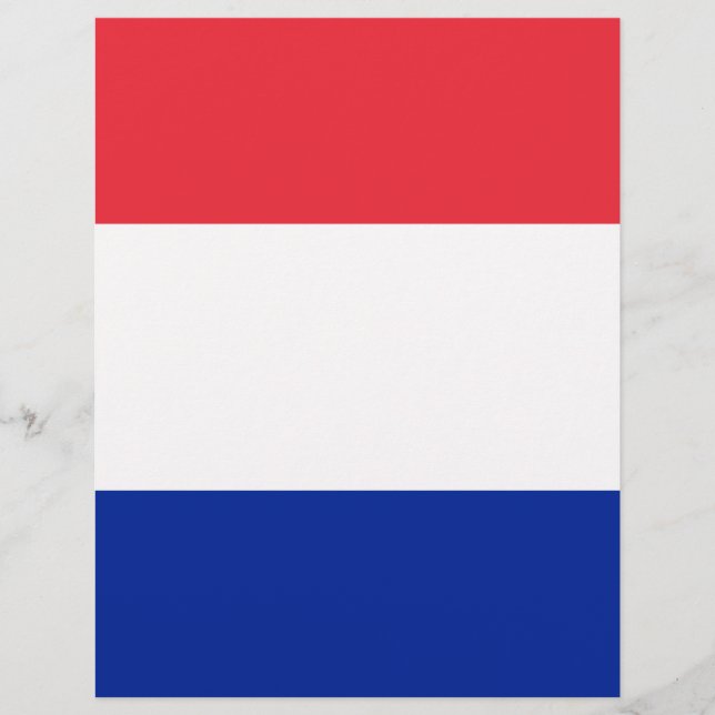 Lámina Bandera de Francia (Anverso)