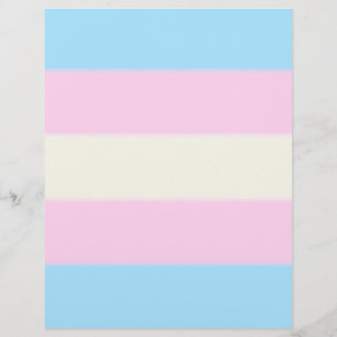 Lámina Bandera del orgullo transgénero caído