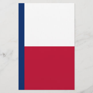 Lámina Bandera Estatal de Texas