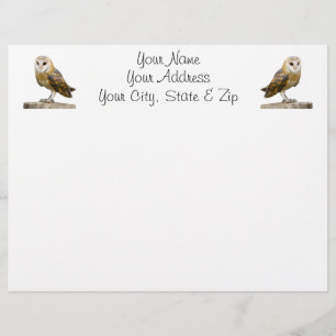 Lámina Barn Owl