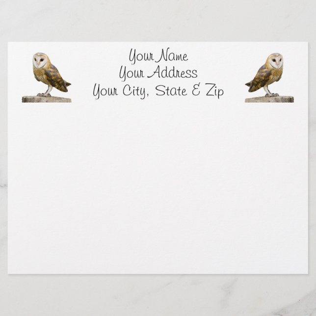 Lámina Barn Owl (Anverso)