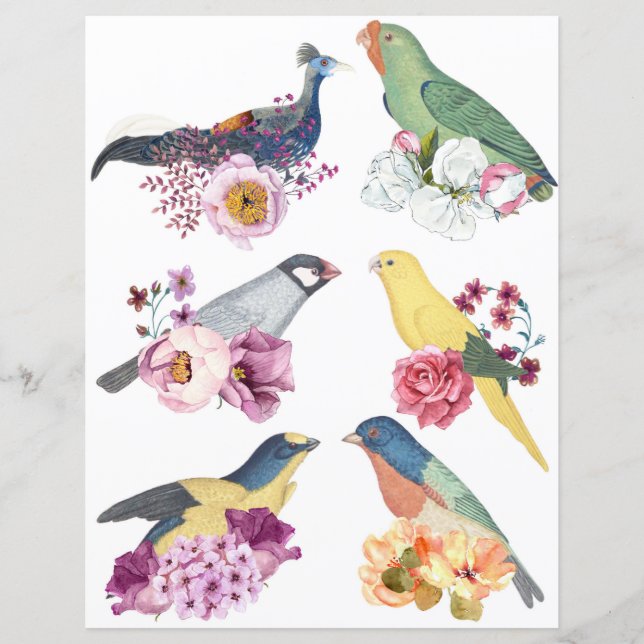 Lámina Beautiful vintage birds with flowers scrapbooking (Anverso)