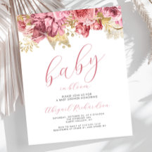 Bebé presupuestal en florín Chicas rosados