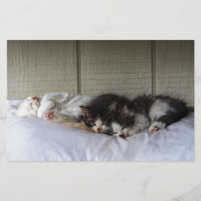 Lámina Belleza durmiente (Anverso)