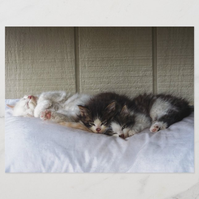 Lámina Belleza durmiente (Anverso)