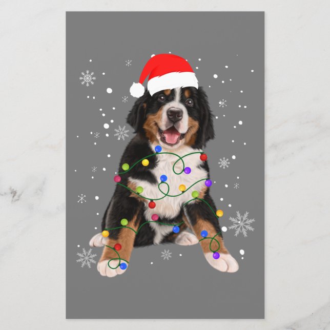 Lámina Bernese Mountain Dog ilumina a Navidades coincidie (Anverso)