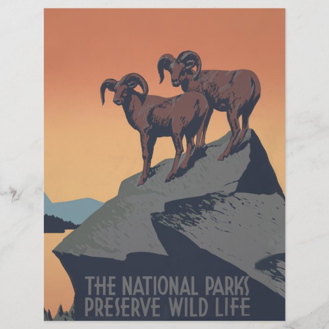 Lámina Bighorn Oveja Estadounidense Vida Silvestre Occide (Anverso)