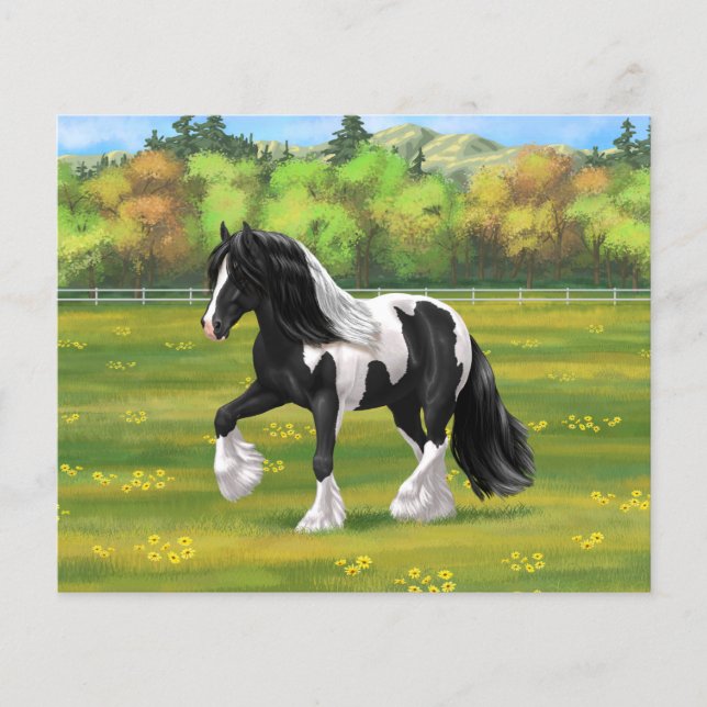 Lámina Black Pinto Piebald Gypsy Vanner Draft Horse (Anverso)