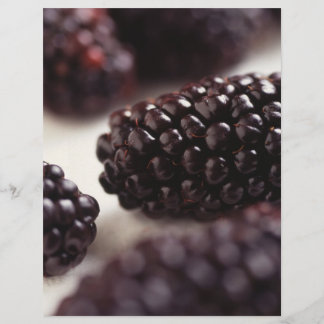 Lámina Blackberries
