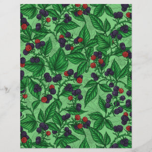 Lámina Blackberries sobre verde
