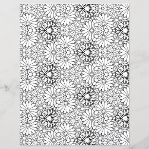 Lámina Blanco y negro 13