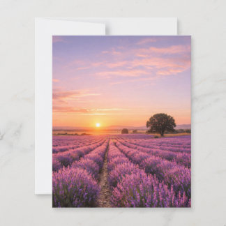 Lámina Blooming Lavender Field at Golden Sunset Provence