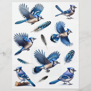 Lámina Blue Jays and Feathers Fussy Recortes