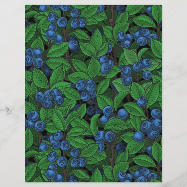 Lámina Blueberry (Anverso)