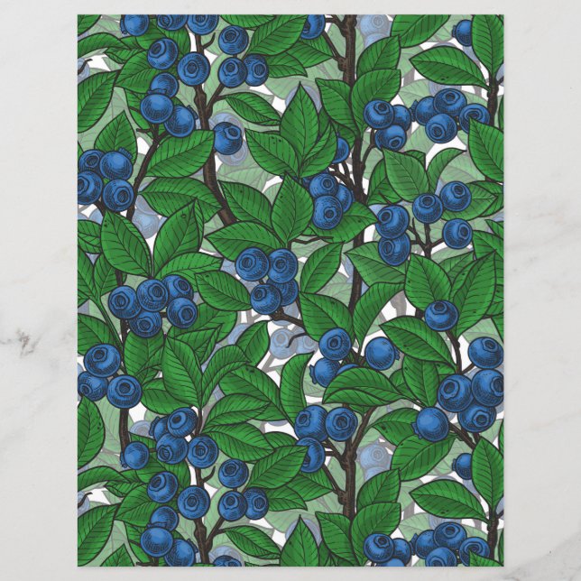 Lámina Blueberry sobre blanco (Anverso)