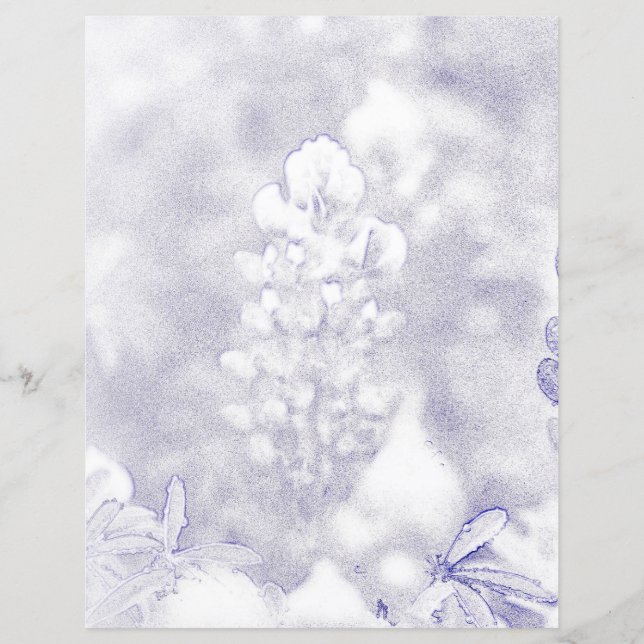 Lámina Bluebonnet (Anverso)