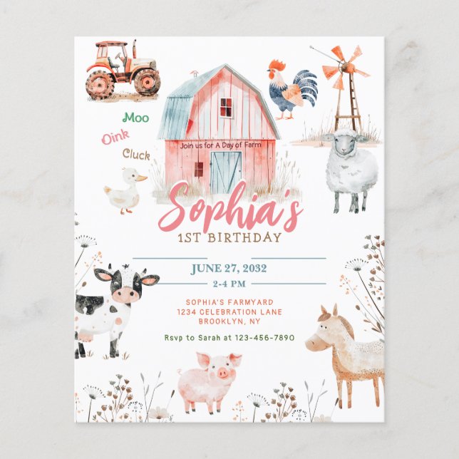 Lámina Bodega grandiosa de animales de corral (Anverso)