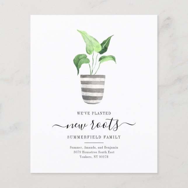 Lámina Boho presupuesto Nuevas raíces Hemos movido botáni (Anverso)