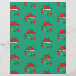 Lámina Bolel de arándanos