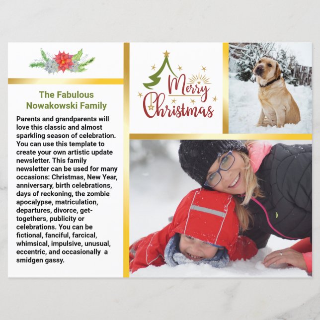 Lámina Boletín de fotografía 🎄 Navidades de familia ✨ (Anverso)