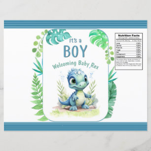 Lámina Bolsa de Chip Verde y Azul de Dinosaurio Bebé