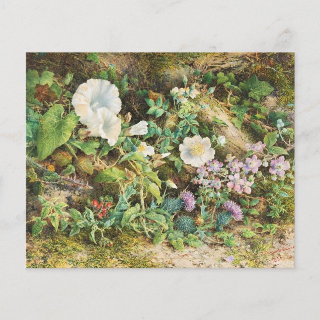 Lámina Bonito de época petunias flores pintura floral (Anverso)