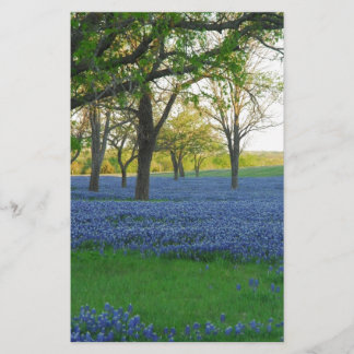 Lámina Bonos azules de Texas