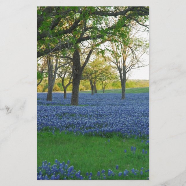 Lámina Bonos azules de Texas (Anverso)