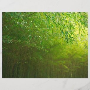 Lámina Bosque de Bambú